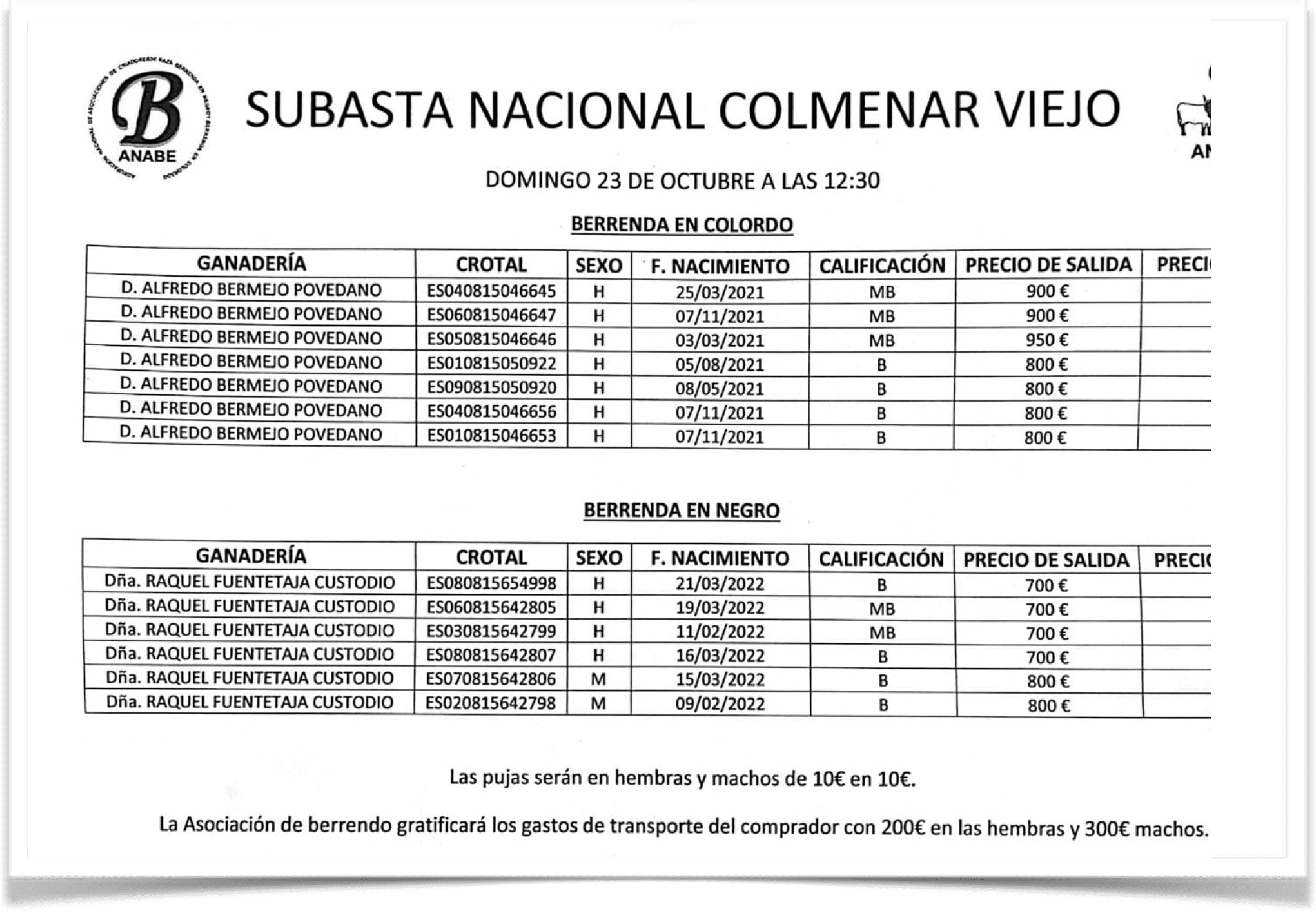 Abema-Feria de Colmenar Viejo 2022-Imagen8