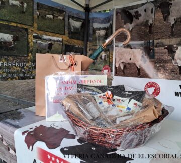 CESTA Y REGALO