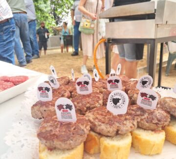 DEGUSTACION DE HAMBURGUESAS