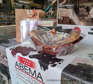 FERIA 1