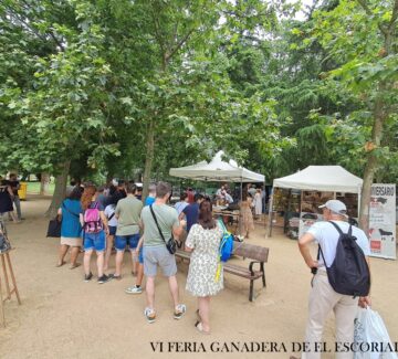 GENTE ESPERANDO HAMBURGUESAS 2